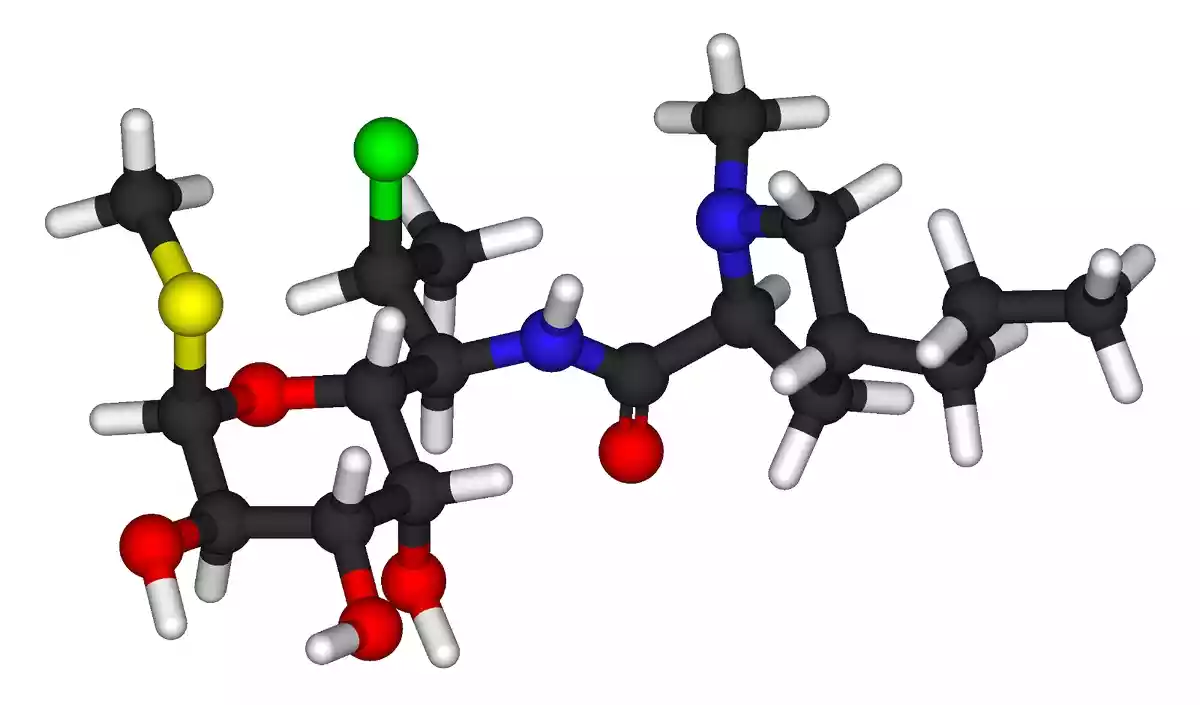 Θεραπεία λοιμώξεων με DALACIN C: Οδηγίες και προφυλάξεις