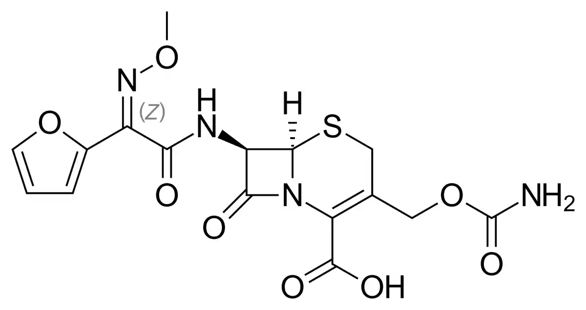 Χημική δομή της κεφουροξίμης, της δραστικής ουσίας του ZINACEF. Η κεφουροξίμη ανήκει στην ομάδα των κεφαλοσπορινών δεύτερης γενιάς και έχει ευρύ φάσμα δράσης.