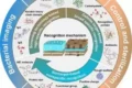 Μηχανισμοί Αναγνώρισης Βακτηρίων: infographic της επιστημονικής μελέτης για στοχευμένη ανίχνευση & καταπολέμηση λοιμώξεων.